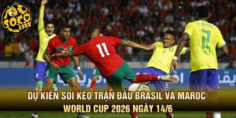 Dự kiến soi kèo trận đấu Brasil và Maroc World Cup 2026 ngày 14/6